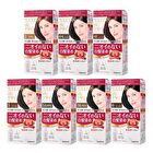 Dariya Salon De Pro Unscented Gray Hair Color Quick Emulsion - 4 Light Brown