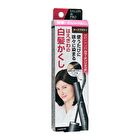 Dariya Salon De Pro Color On Retouch Gray Hair Comb EX - Light Brown