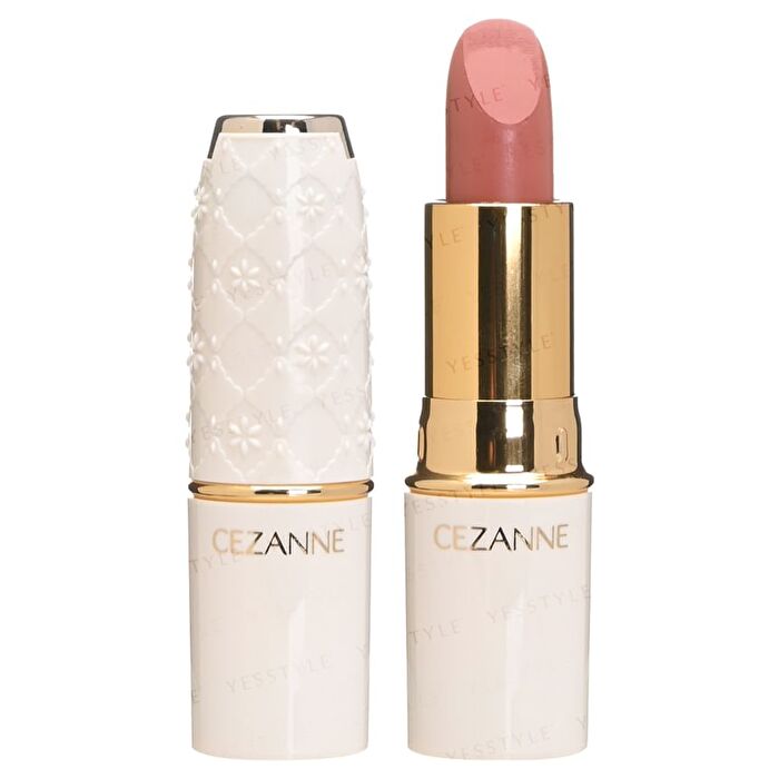 Lasting Lip Color N - 501