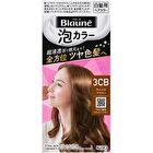 Blaune Foam Hair Color - 1 Stylish Brown