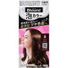 Blaune Foam Hair Color - 1 Stylish Brown