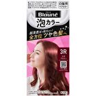 Blaune Foam Hair Color - 0 Shiny Brown