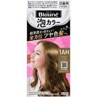 Blaune Foam Hair Color - 0 Shiny Brown