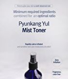 Mist Toner - 100ml