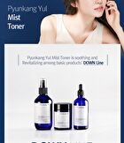 Mist Toner - 100ml