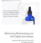 Moisture Ampoule - 100ml