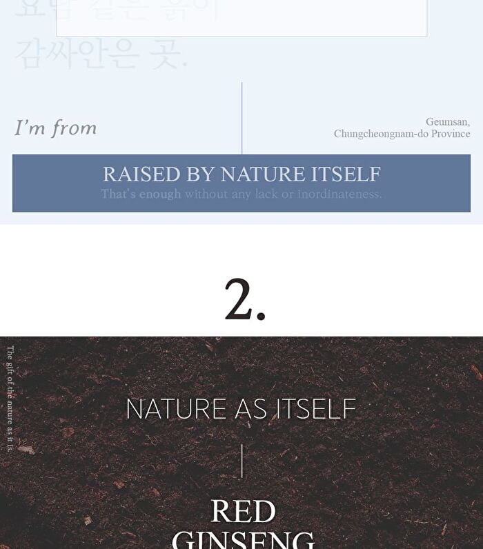 I\'m from Ginseng Mask - 2017 Version - 120g