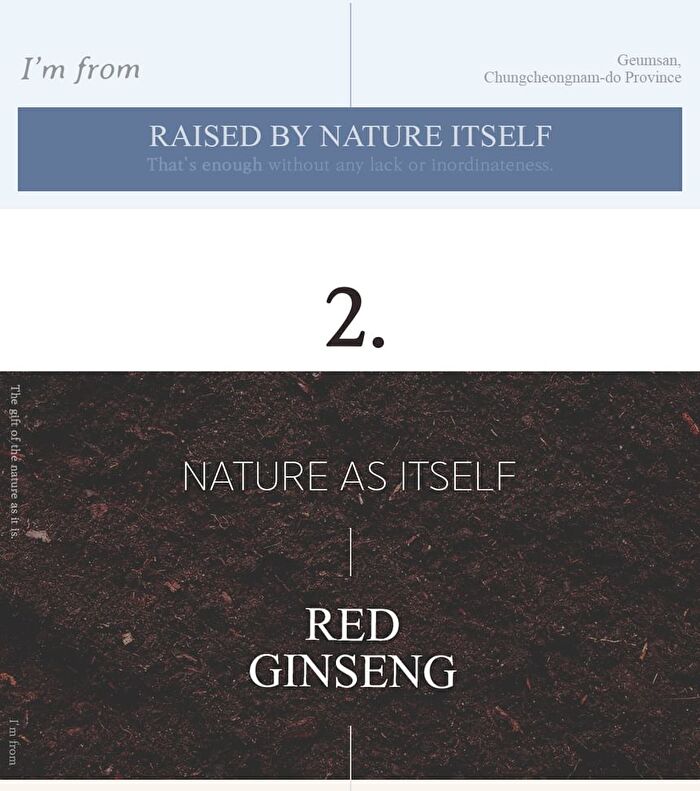 Ginseng Serum - 30ml