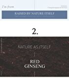 Ginseng Serum - 30ml
