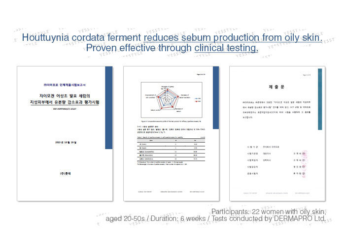 Zymogen Houttuynia Cordata Ferment Serum - 105ml