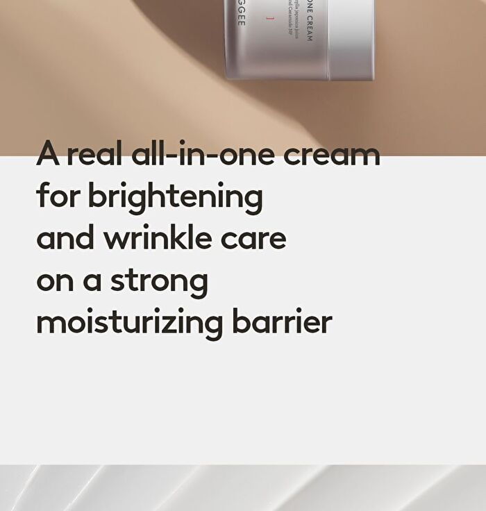 All-In-One Cream - 80ml