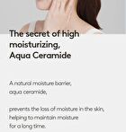 All-In-One Cream - 80ml