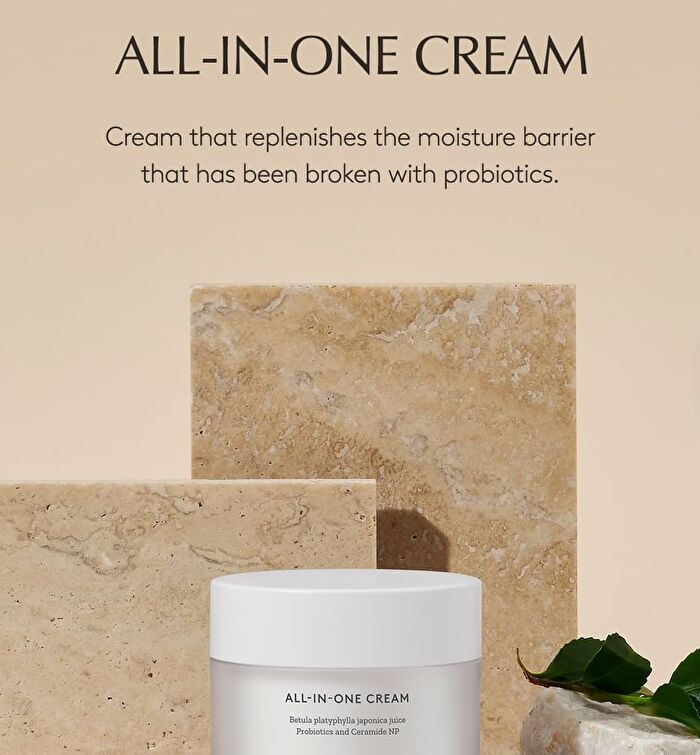 All-In-One Cream - 80ml