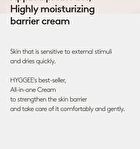 All-In-One Cream - 80ml