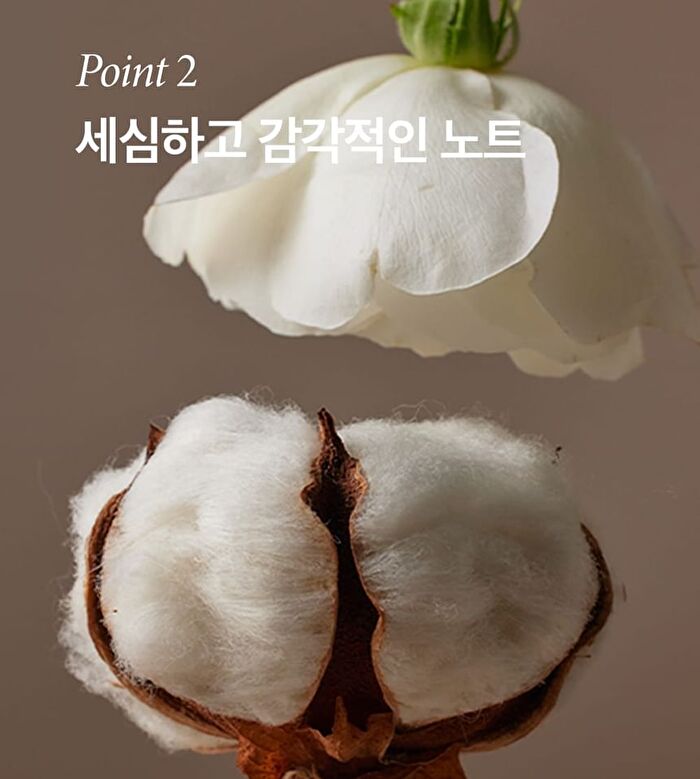Classic Hand Cream Jumbo - 4 Types - Intensive Total Recovery