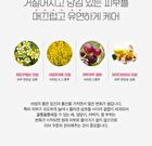 Maternity Care Massage Oil - 120ml