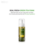 Dermalogy Real Fresh Foam Green Tea - 160g