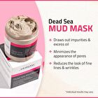 Dead Sea Mud Mask - 236ml
