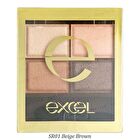 Skinny Rich Shadow - SR06 Sensual Brown
