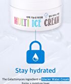Multi Ice Cream - 100ml