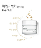Rice Radiance Cream - 50ml