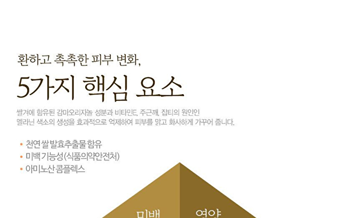 Rice Radiance Cream - 50ml