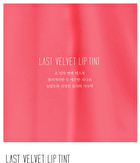 Last Velvet Lip Tint IV Flower Series - 5 Colors - #17 More Pleasant