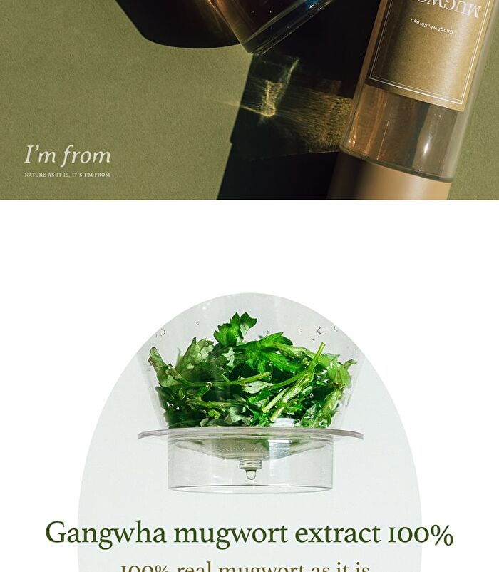 Mugwort Essence - 2018 Version - 160ml