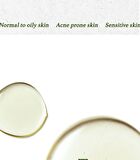 Mugwort Essence - 2018 Version - 160ml