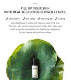 The Pure Lotus Jeju Lotus Leaf Essence - 125ml