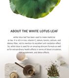 The Pure Lotus Jeju Lotus Leaf Essence - 125ml