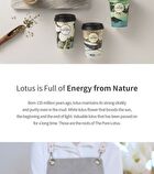 The Pure Lotus Jeju Lotus Leaf Essence - 125ml