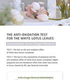 The Pure Lotus Jeju Lotus Leaf Essence - 125ml