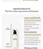 The Pure Lotus Jeju Lotus Leaf Essence - 125ml