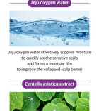 O2 Scalp Ample - 25ml x 2pcs