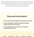 Propolis Vitamin Sleeping Mask - 60ml