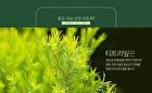 Nonco Tea Tree Cleansing Foam - 130ml