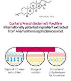 Petitfee Super Volume Lip Oil - 3g