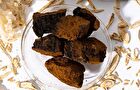 Pressed Serum #Tundra Chaga - 50ml
