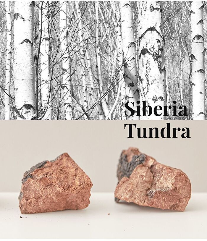 Pressed Serum #Tundra Chaga - 50ml