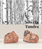Pressed Serum #Tundra Chaga - 50ml