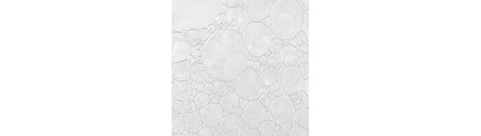 Cellup Micro Foam Cleanser - 2018 Version - 120ml
