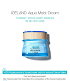 Iceland Aqua Moist Cream - 60ml