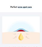 Clear Skin Shield Patch - Renewal - 39 patches
