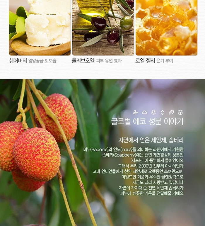 The Saem Natural Condition Cleansing Cream - 2 Types - Avocado