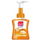 Foam Hand Soap - Fruity Fresh - 250ml