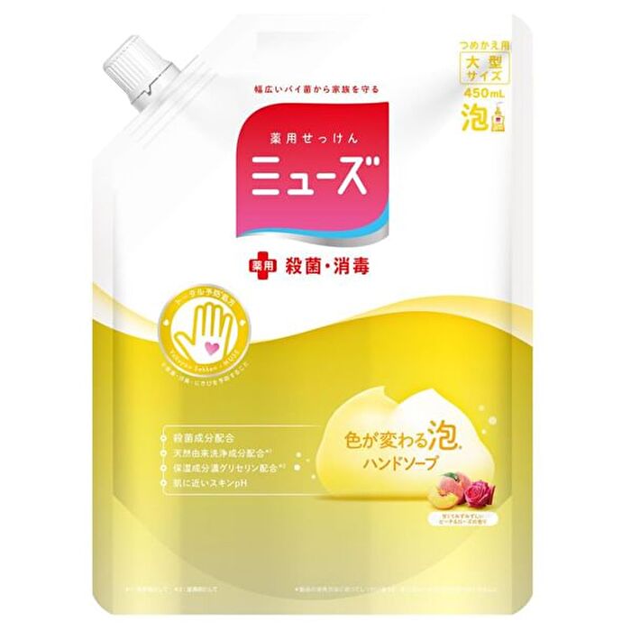 Foam Hand Soap - Fruity Fresh - 250ml