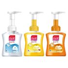 Foam Hand Soap - Fruity Fresh - 250ml