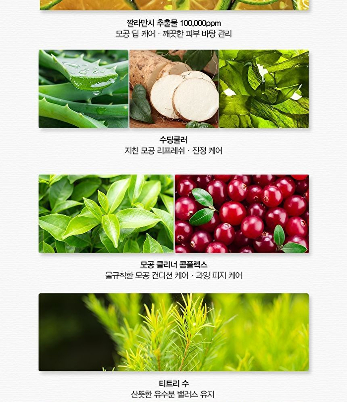 Calamansi Pore Cool Down Cream - 100ml