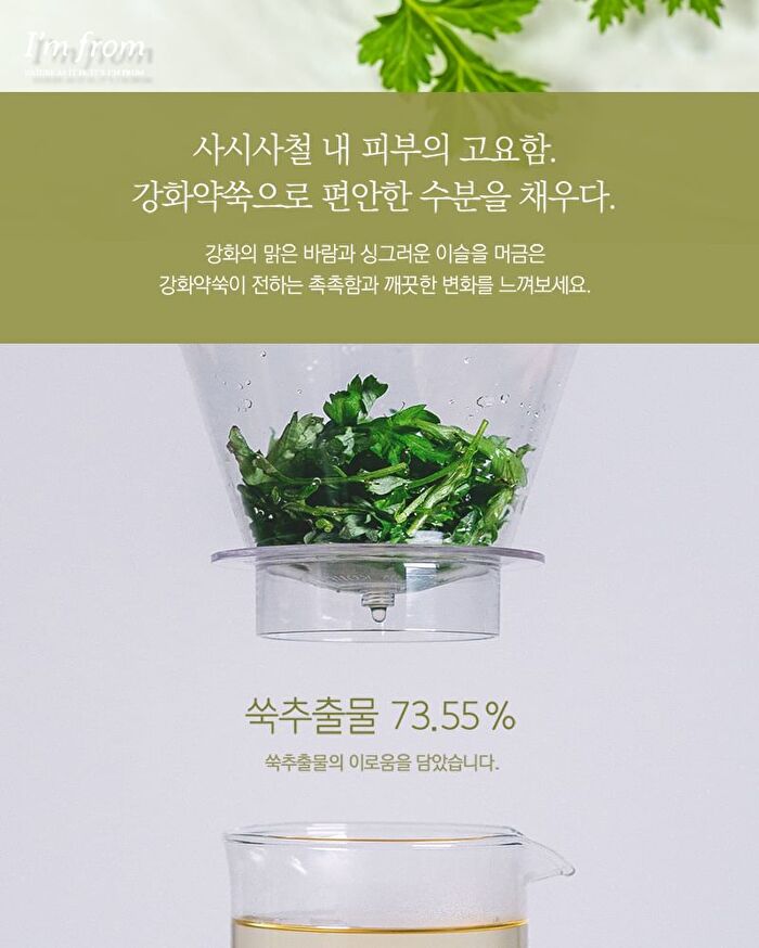 Mugwort Cream - 2019 Version - 50g